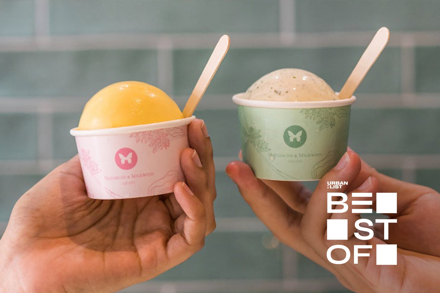 Ice cream from Monarchs & Milkweed